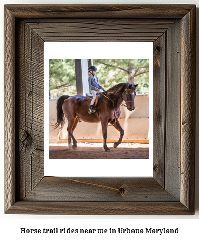 horse trail rides near me in Urbana, Maryland